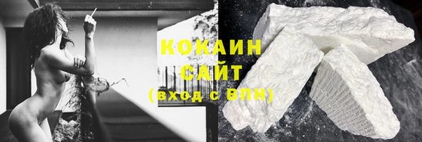 шишки Новокубанск