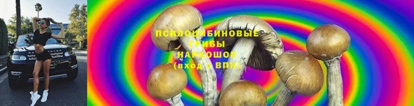 МДПВ Нязепетровск
