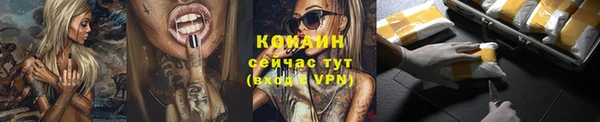 шишки Новокубанск