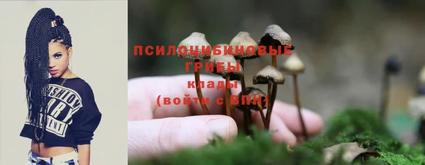 МДПВ Нязепетровск