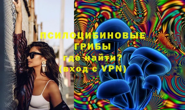 гидропоника Новодвинск