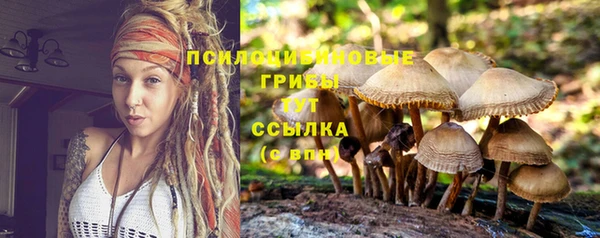 меф Нефтегорск