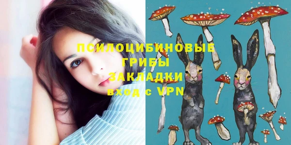 МДПВ Бронницы