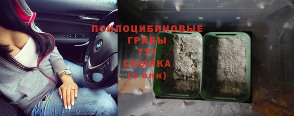 герыч Новозыбков