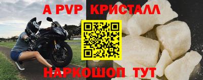 шишки Камышлов