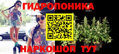 шишки Камышлов