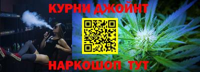 шишки Камышлов
