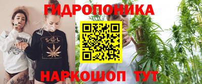 гашик Канаш