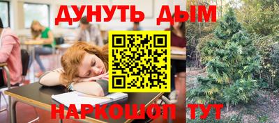 шишки Камышлов