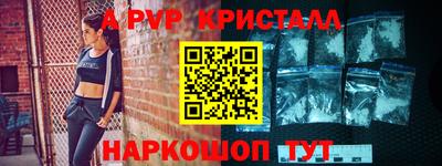 шишки Камышлов