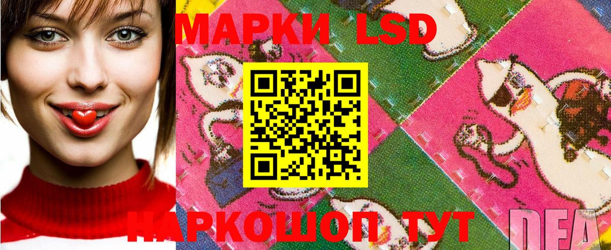 Краснознаменск  Наркотические марки 1500мкг  Вход с VPN  Наркотические марки 1500мкг 