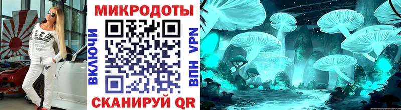 Псилоцибиновые грибы Cubensis  где можно купить   Краснознаменск 