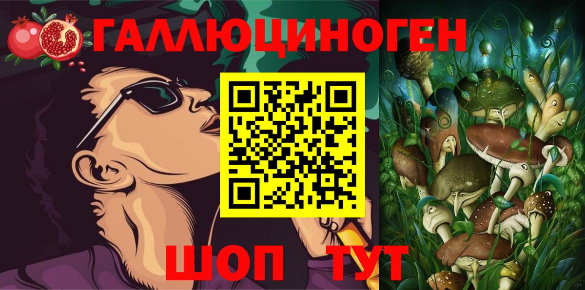 Псилоцибиновые грибы Psilocybine cubensis  где можно купить   Краснознаменск 