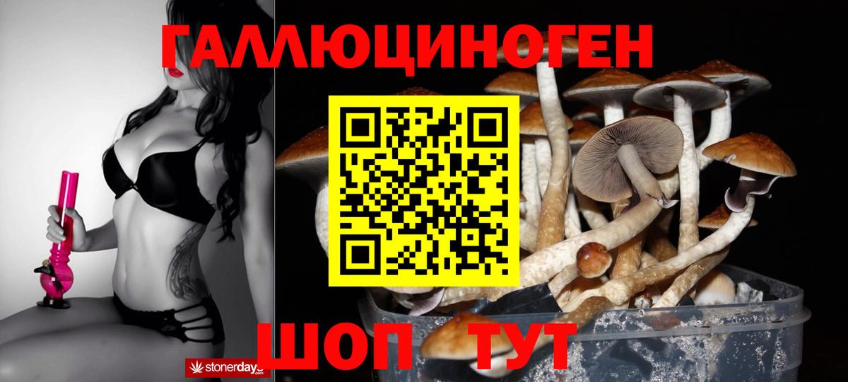 Краснознаменск  Галлюциногенные грибы прущие грибы  Галлюциногенные грибы мицелий  Вход с VPN 